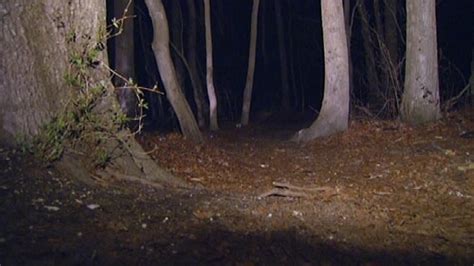 You searched for girl raped woods .